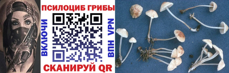 Купить закладки Черемхово Псилоцибиновые грибы GOLDEN TEACHER